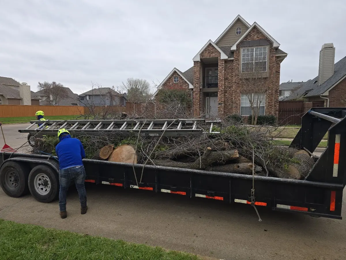 Expert Tree Fertilization with proper safety equipment in Mineral City